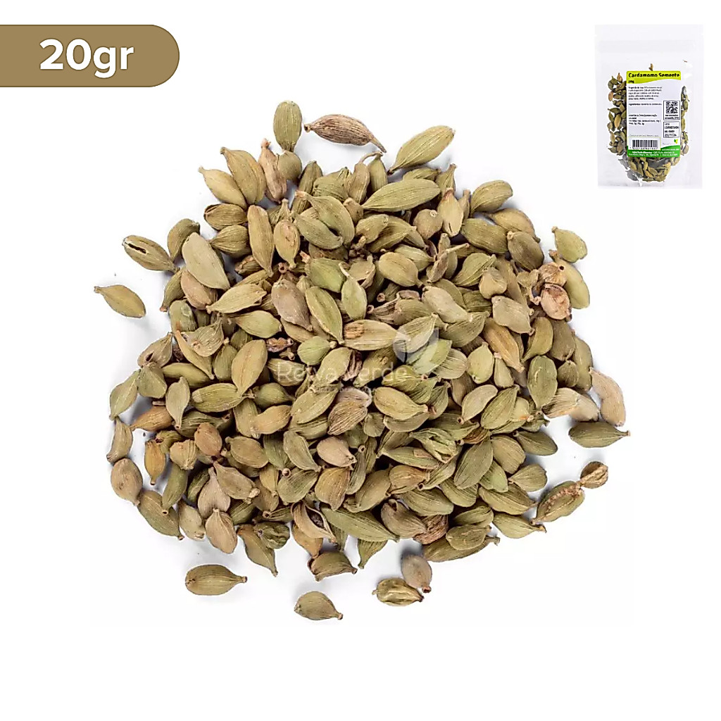 Semente de Cardamomo 20g Especiarias para Culinárias Relva Verde