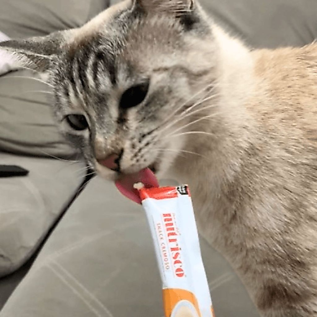 Petisco Para Gatos Snack Cremoso Nutrisco Sabor Atum 56g — imagem 2 de 2