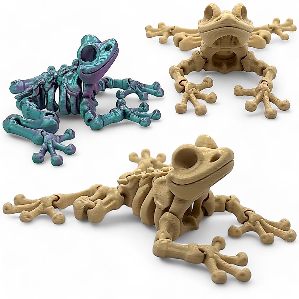 Sapo Esqueleto Articulado Brinquedo Educativo Fidget Sensorial Presente Criativo Simulação Animais