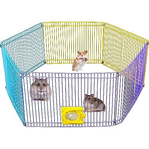 Cercado Casinha Portatil Dobravel Hamster Chiqueirinho