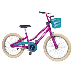 Bicicleta Infantil Aro 20 Lovely Nathor - 101200160011