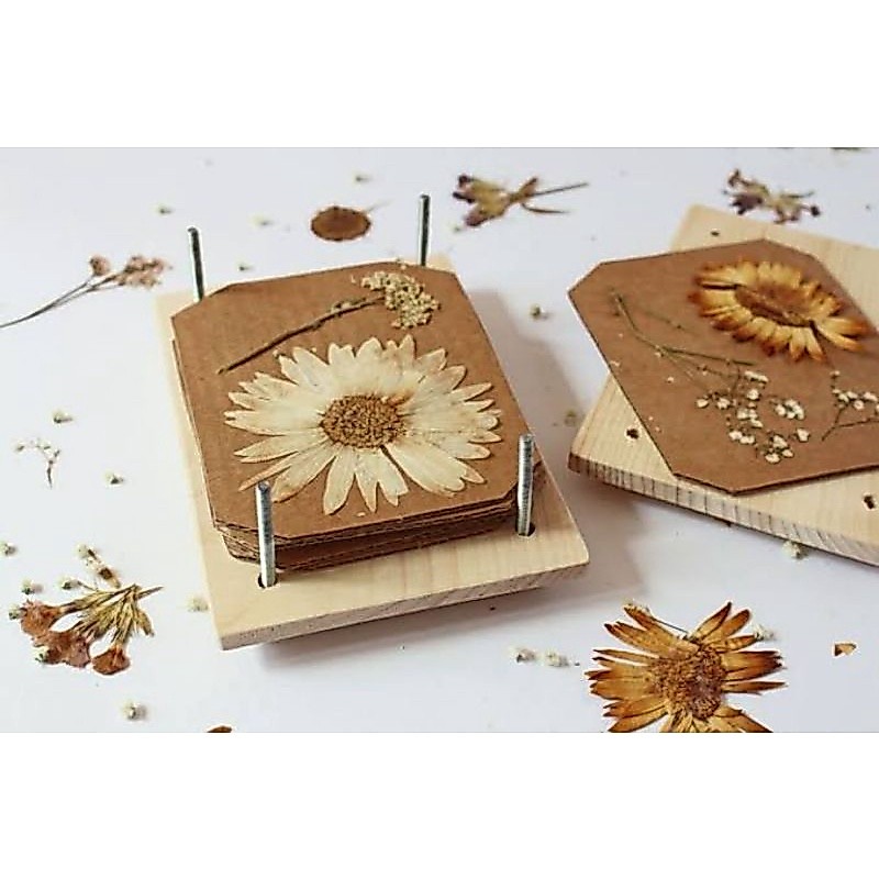 Prensa de Flores feito de pinus 20cm X 20cm