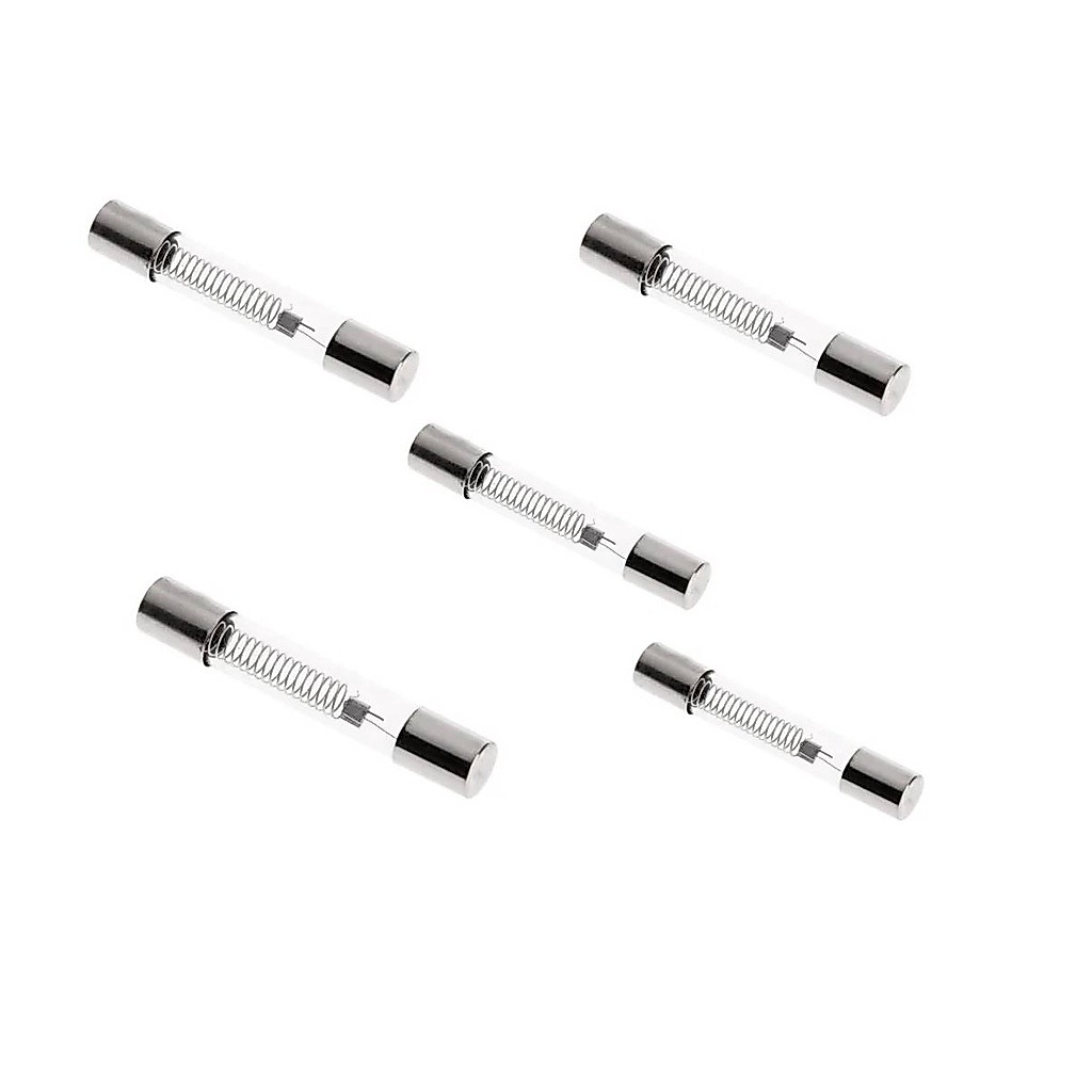 05 Pçs Fusível Vidro Retardo De Alta Microondas 5k 800ma