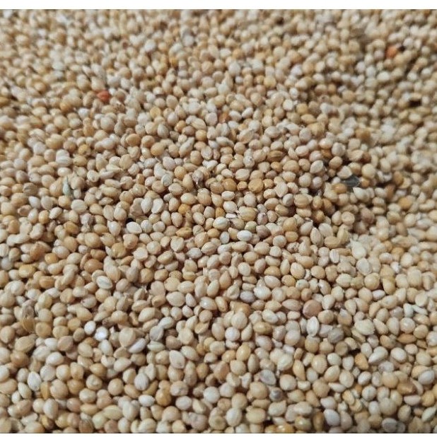 Painço Português 150g Marques Rações - Alimento Completo para Pássaros — imagem 2 de 2