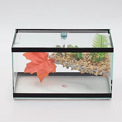 Terrário Decorado N°2 4,2 Litros