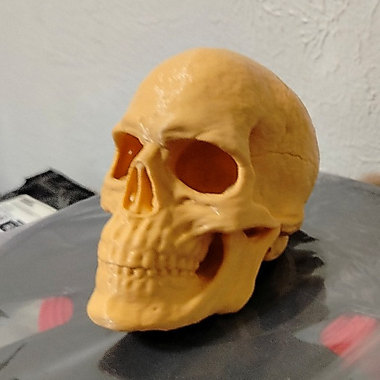Decoração Crânio Humano Realista Colecionável