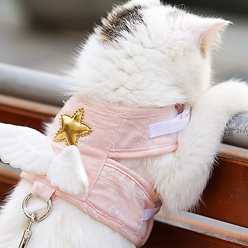 Suprimentos para Animais de Estimação para Cães e Gatos, Coleira, Itens e Acessórios para Animais de Estimação, Colete A