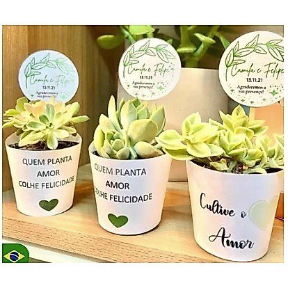 Rótulo Branco + tag Personalizada para lembrancinhas de Mini Suculentas - aniversarios, chá de bebe, revelação.