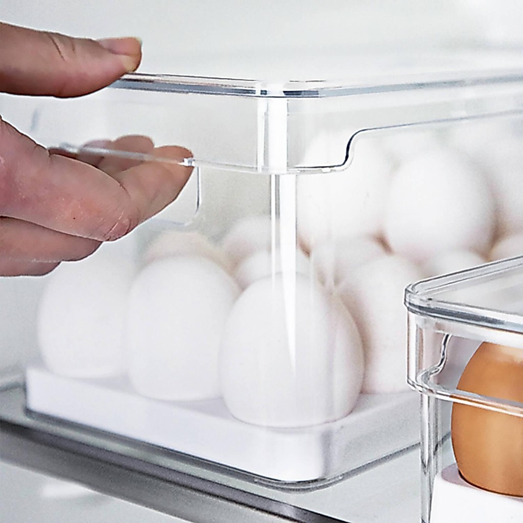 Organizador de ovos com tampa Ou 36un Linha Clear Fresh