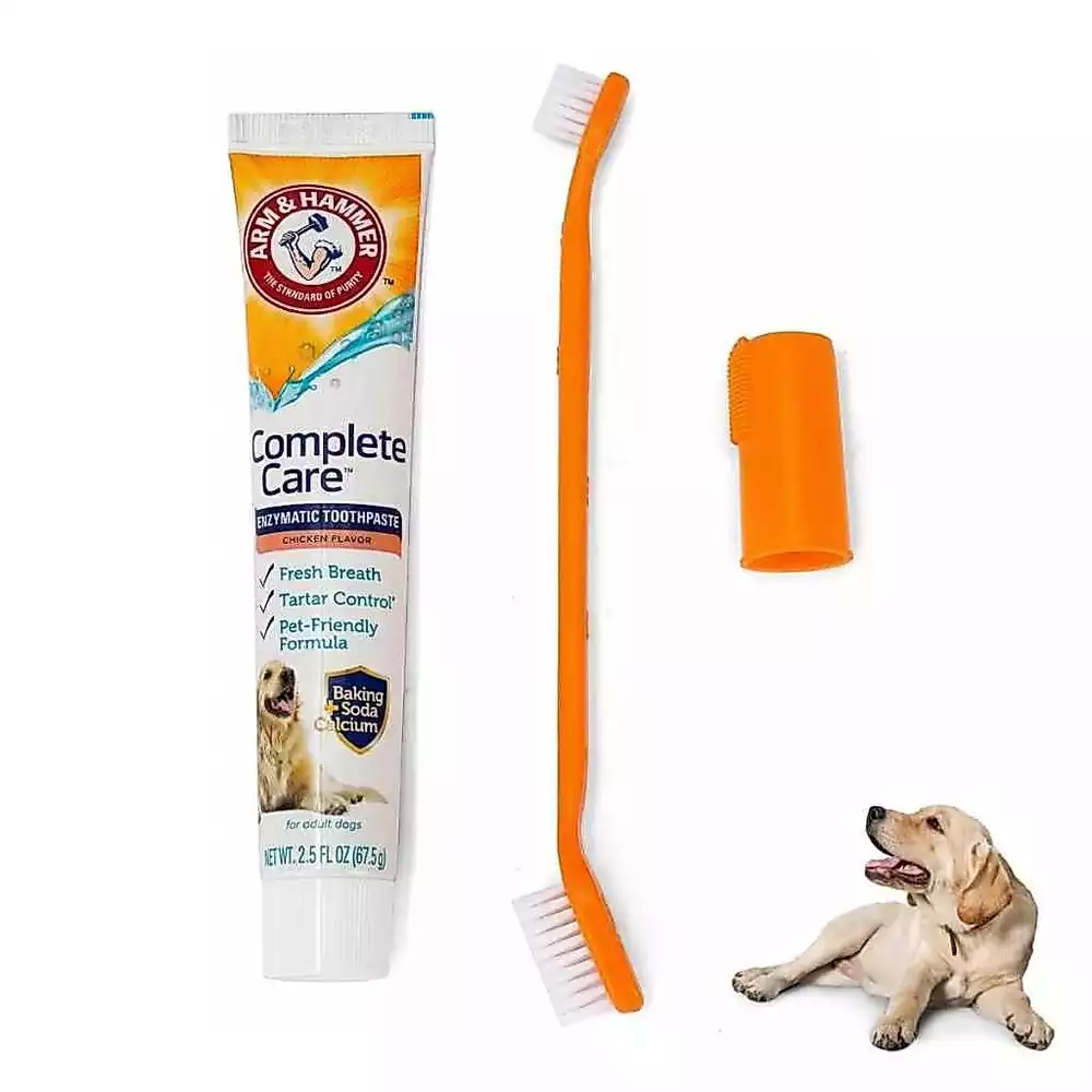 Pasta de Dente para Cachorro Arm & Hammer Kit Escova de Dente Dedeira Sabor Frango Anti Tártaro