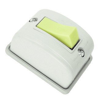 Interruptor 1 Tecla Paralela Retangular Cinza Radial 1801046