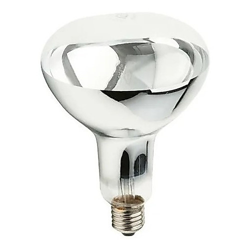 Lampada Para Aquecer Batata Frita 250w 220v E27