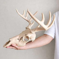 Cabeça Gigante Decorativa Cervo Veado Alce | Decoração Country Rústica