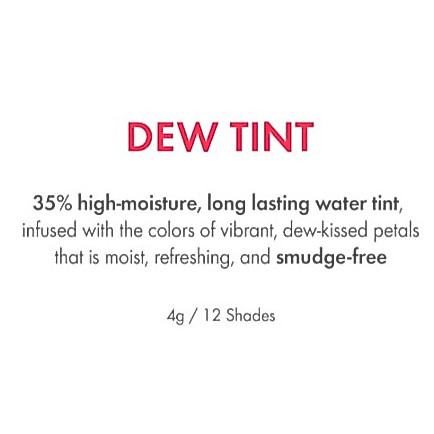 AMUSE Dew Tint 12 Colors (+New 4 Colors) 4g · foto 2