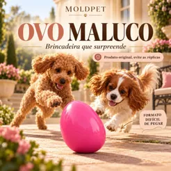 Brinquedo Mordedor para Cachorro Ovo Maluco Pet Interativo Resistente Antiestresse