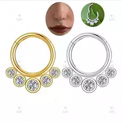 1 Piercing Argola Aço cirúrgico Delicado Zircônia Segmento Articulado | Septo, Rook, Daith, Conch