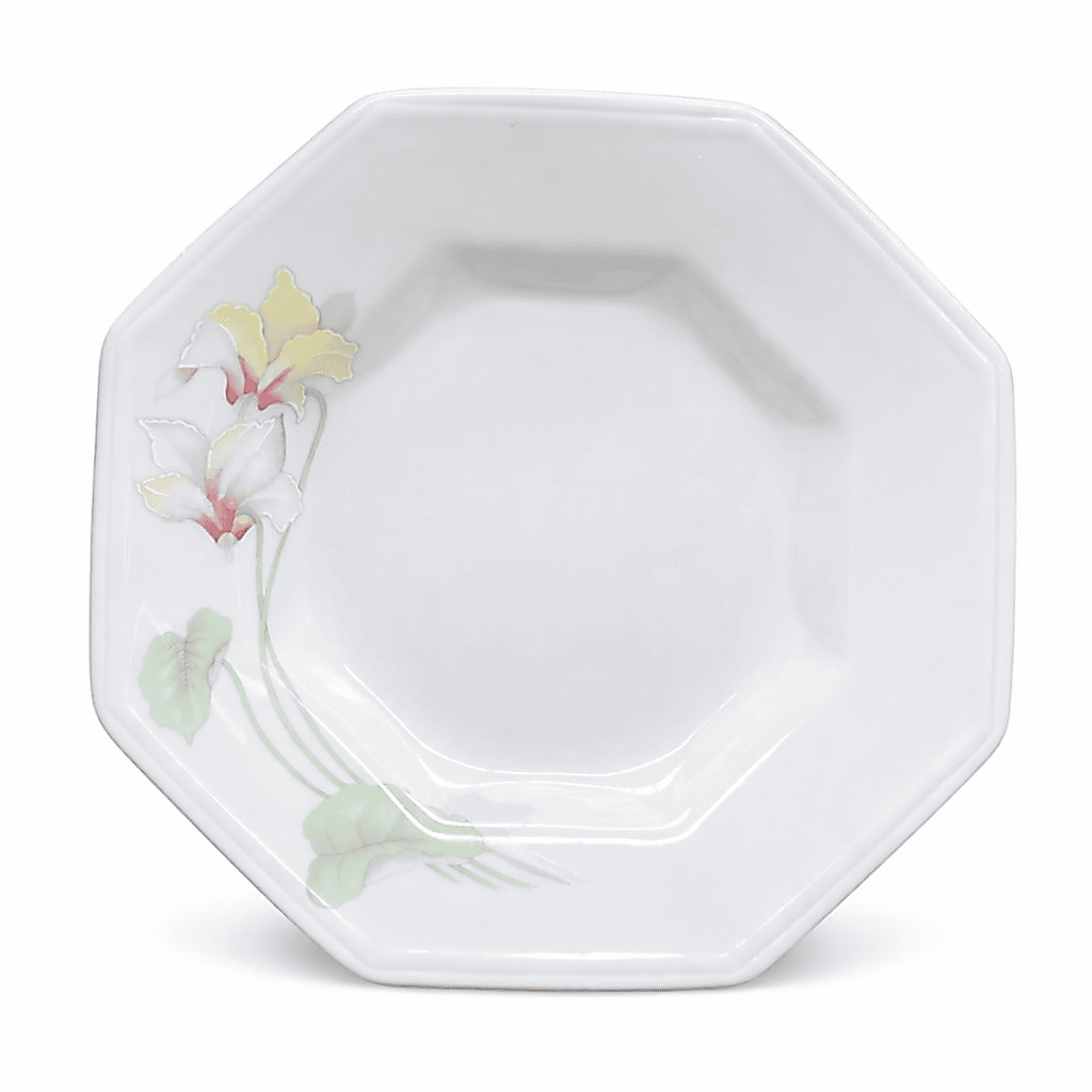Prato Fundo Jantar Sopa 24cm Encanto Porcelana Decorada Schmidt