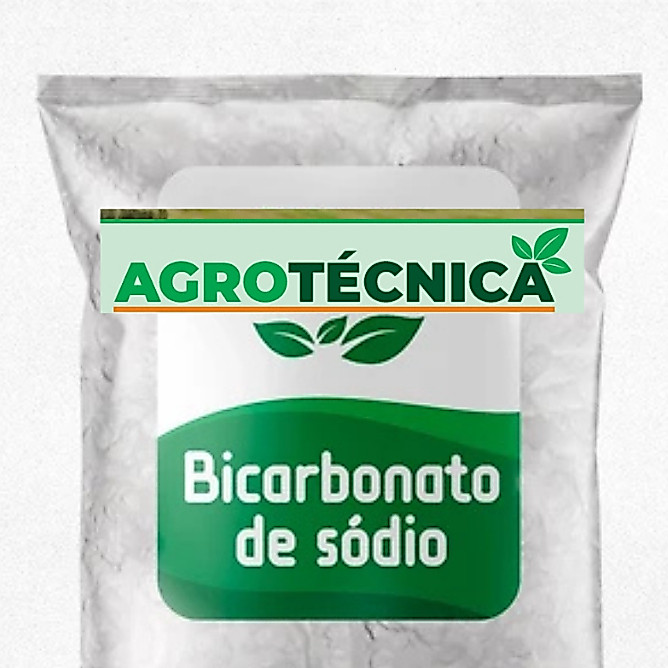 Bicarbonato de Sódio 100% Puro - Alvejante Natural, Fungicida e Limpeza Doméstica Multiuso