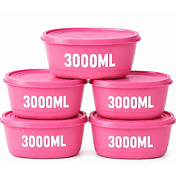 Kit 03 ou 05 Potes Ovais Herméticos Sólido/Transparente 3000ml BPA Free - Organizadores Grandes para Cozinha Mantimentos