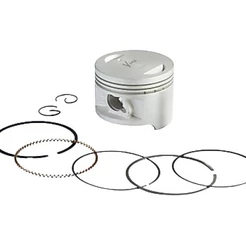 Kit Pistao E Aneis Dafra Speed 150 2008/2014 0,25mm Vini