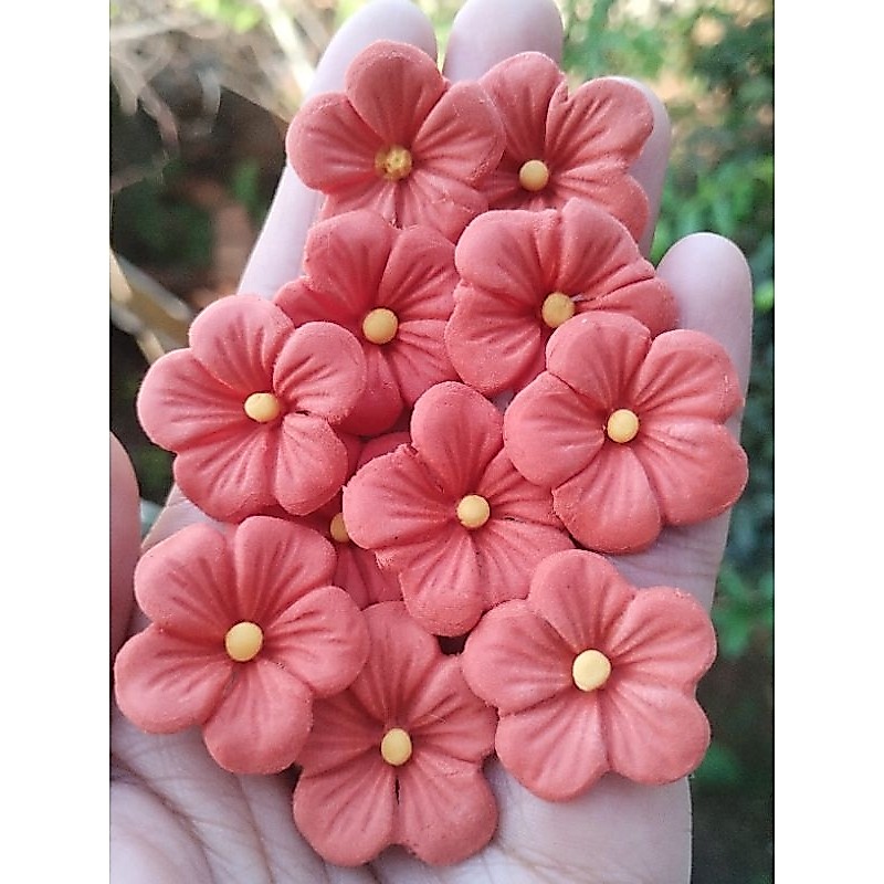 10 Apliques Flores Biscuit K 409 Porcelana Fria Arte