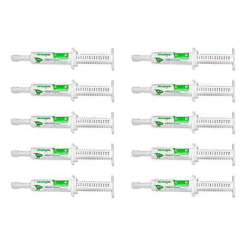 Kit 10 Probiótico & Prebiótico Para Cães Gatos Recupera Flora Intestinal 14g