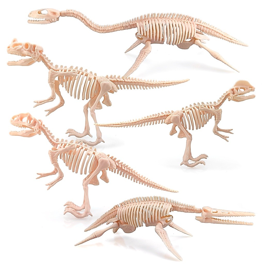 [DIY]Modelo De Montagem De Esqueleto Duplo De Dinossauro Artesanal Espinha-Orosaurus Para Crianças/brinquedos educativos