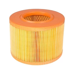 Filtro De Ar Motor Renault 19, Mégane, Scenic 1994 1995 1996 1997 1998 1999 2000 2001 2002 2003