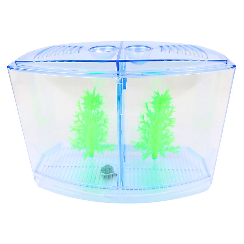 Aquario Beteira Dupla Acrílico Com Enfeite Para Bettas Oceanmax 2 Litros