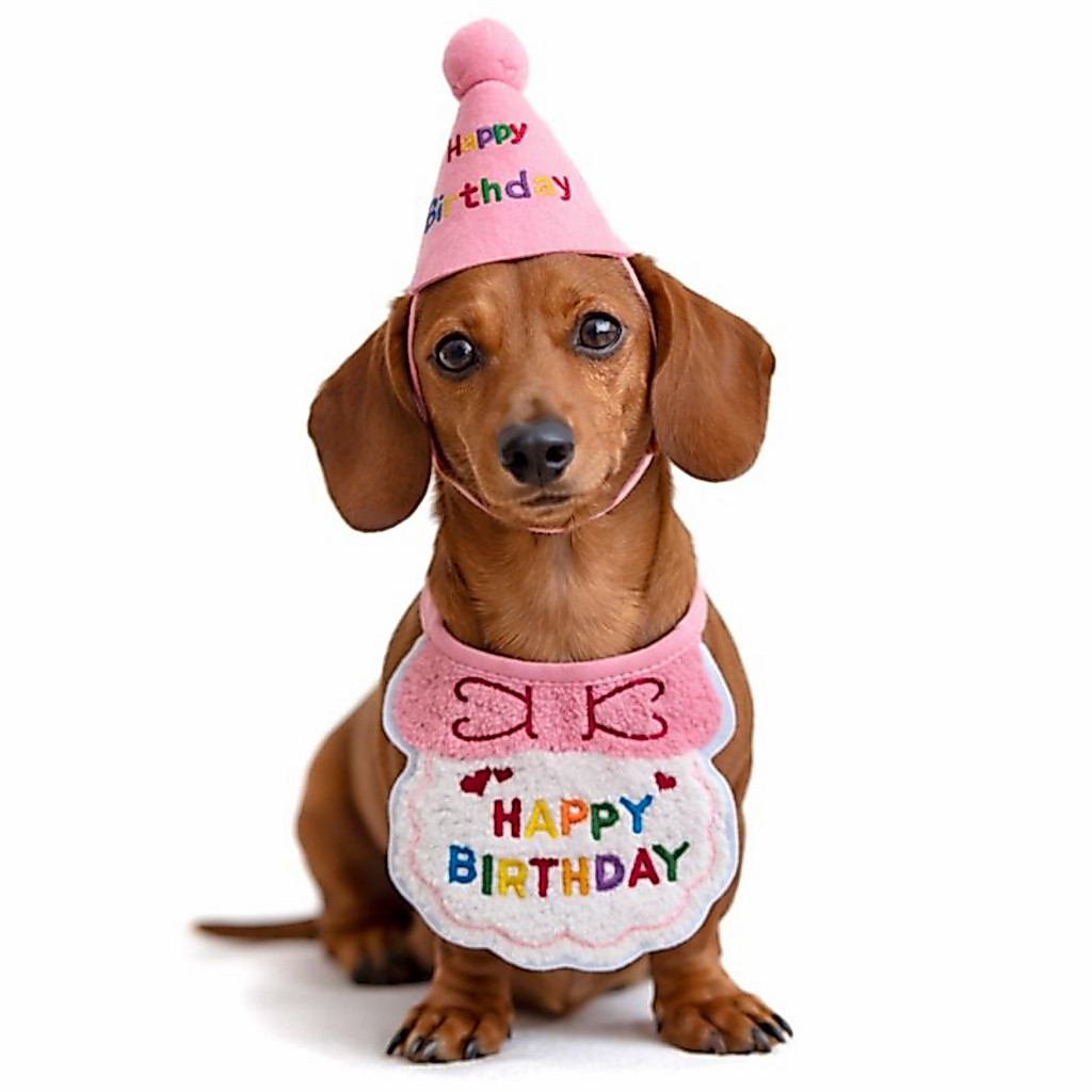 Kit Aniversário Pet Cachorro Rosa – Babador Atoalhado + Chapéu Festa