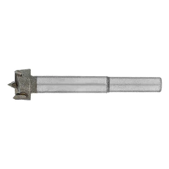 BROCA FRESA FORSTNER PARA MADEIRA, 19MM, HASTE CILINDRICA, 1PC // GROSS
