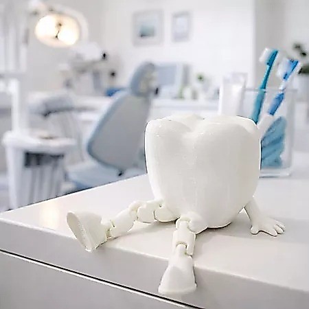Dente Articulado Decorativo Presente Criativo para Dentistas