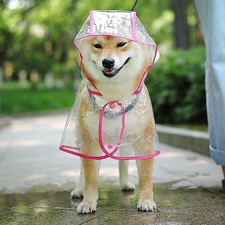 Capa de Chuva Impermeável Pet Cachorro - Passeio Proteção Grande Médio Pequeno Porte