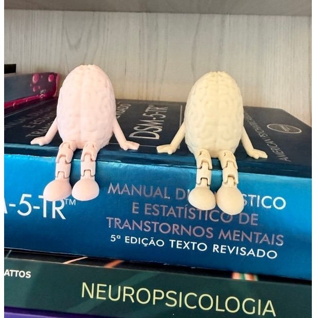 Cérebro Articulado Decorativo