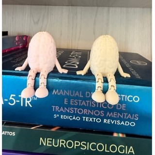 Cérebro Articulado Decorativo
