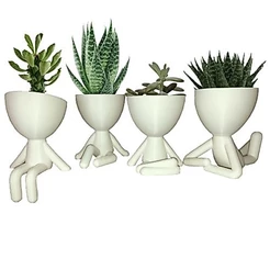 Robert Plant Kit 4 Mini Vasinhos 6cm Cactos Suculentas Decor