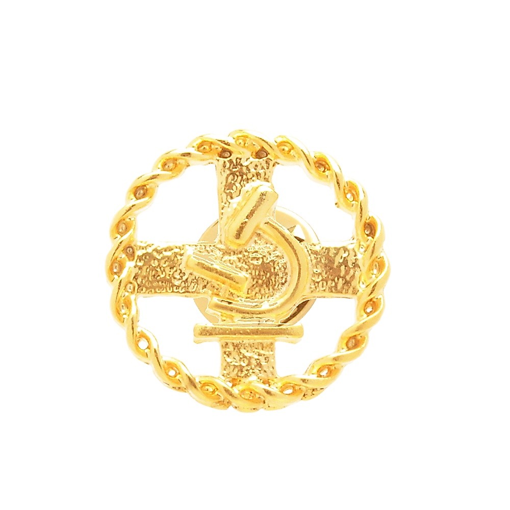 Broche Pin Biomedicina Biomédica Folheado A Ouro 18k