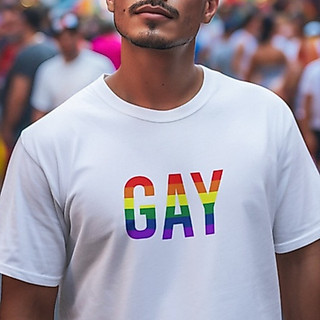 Camiseta Blusa lgbt Lgbtqia+, Arco Iris, Gay, Lesbica, bissexual,parada, carnaval.