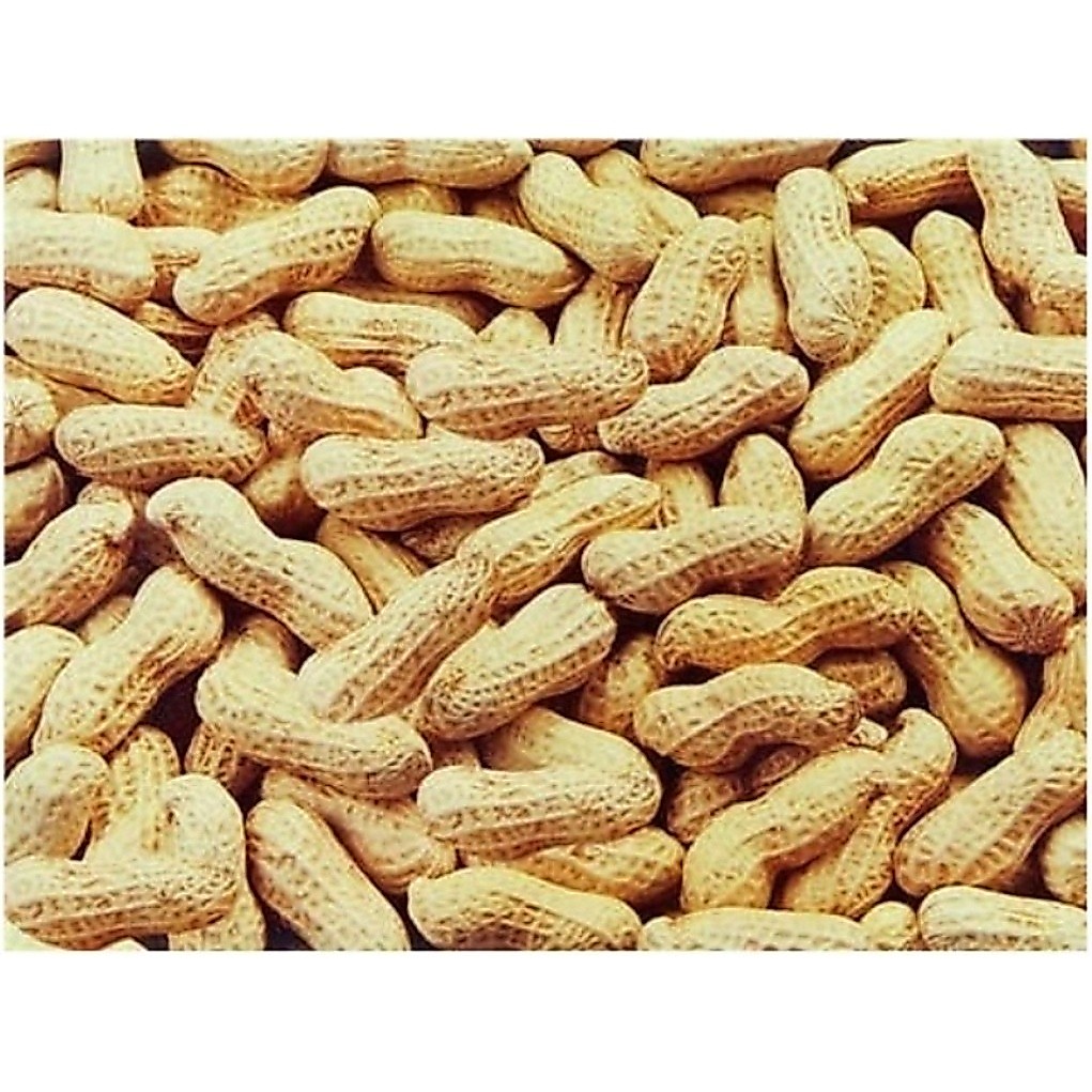 Amendoim Runner Com Casca Crú 1 kg