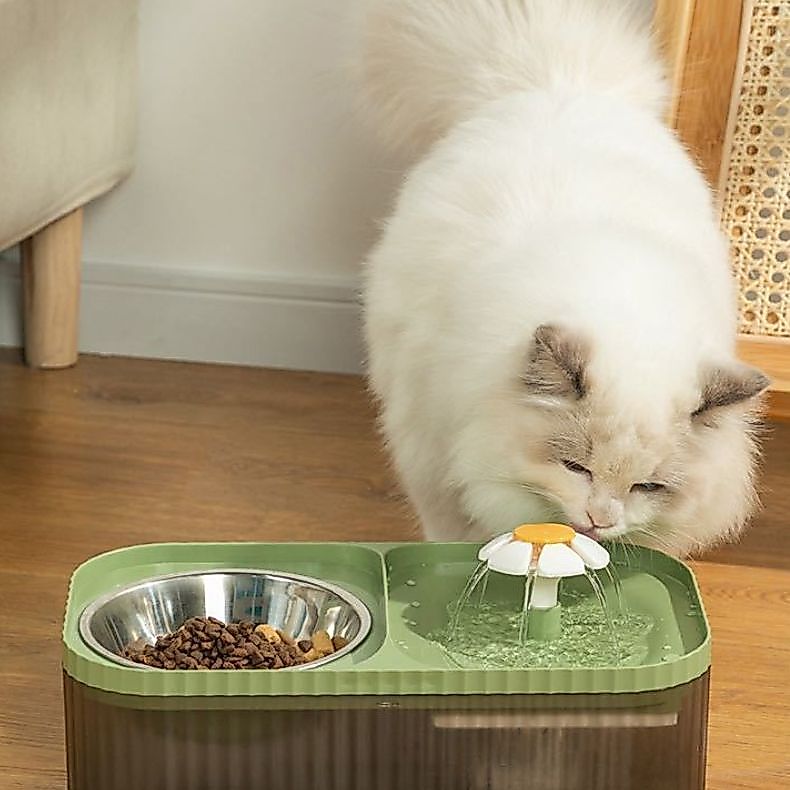Pets Fonte Bebedouro e Comedouro Para Gatos E Cães Automático 3 Litros, coloridos