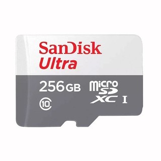 SanDisk Cartão de Memória Micro SD Ultra - 256G, 1 UNIDADE
