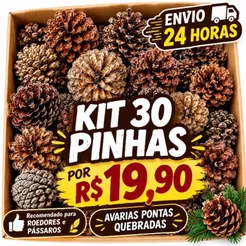 kit 30 PINHAS NATURAIS COM AVARIAS