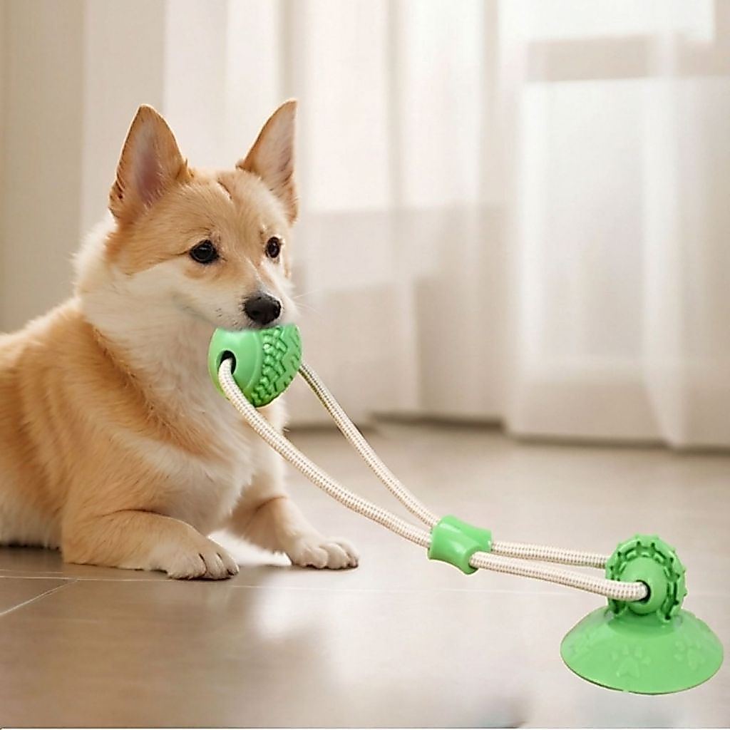 Brinquedo Interativo Para Cachorro Pet Mordedor Com Ventosa Corda Cabo De Guerra