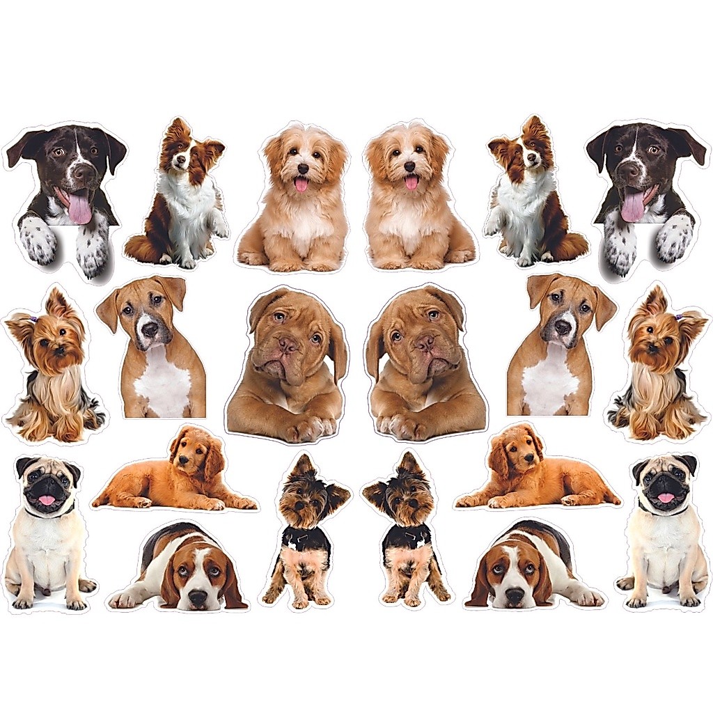 Adesivo de Parede Cachorros Pet Shop, banho e tosa 20 peças