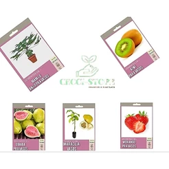 kit frutas pra vasos 50 sementes ( mamão anão,Kiwi, goiaba, Morango e maracujá)