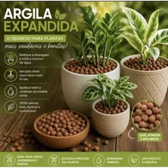 Argila Expandida para Plantas 1L 4L 8L | Jiboia, Orquídeas, Suculentas, Drenagem para Vasos e Jardinagem