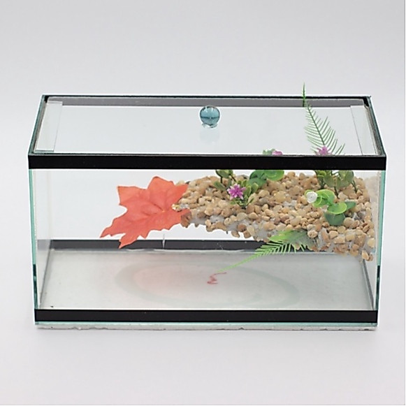 Terrário Decorado N°3