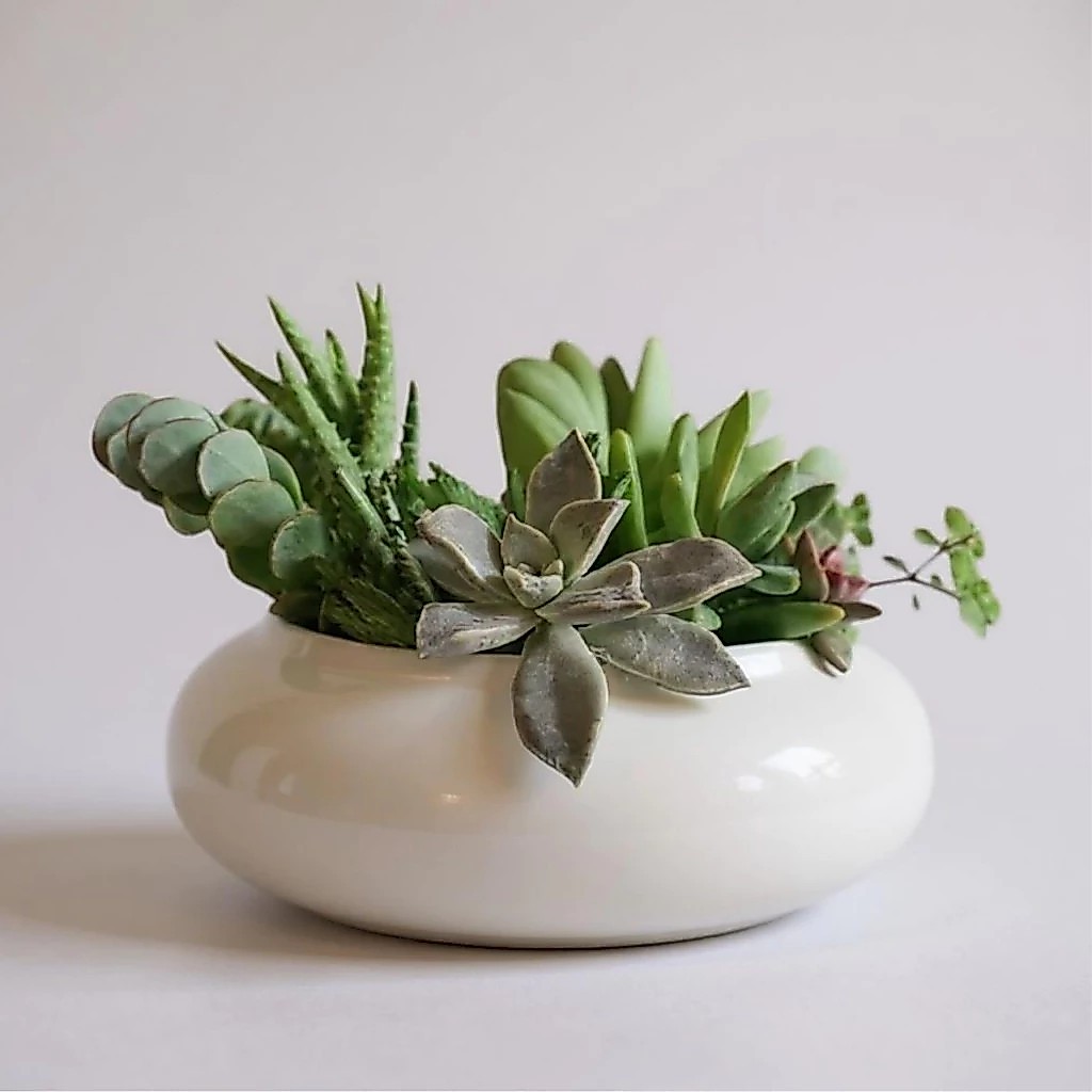 Vaso Decorativo Redondo Baixo Ikebana Enfeite Cozinha Sala Escritorio Rack Mesa de Centro — imagem 2 de 2
