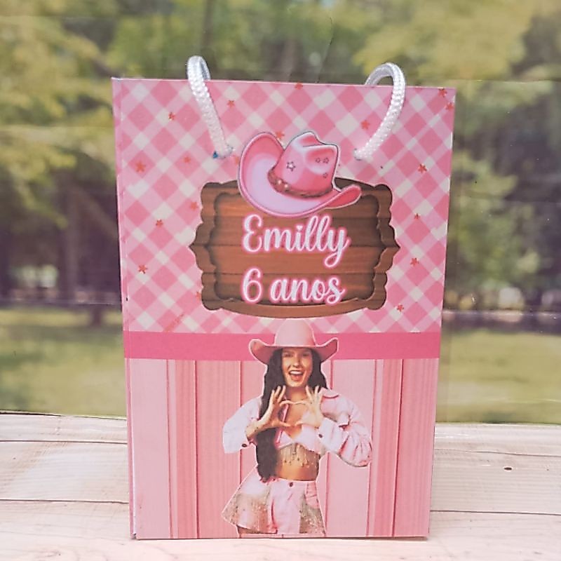 PEGUE E MONTE - Sacolinhas Boiadeira Ana Castela personalizadas tamanho P/ lembrancinhas - Sacolinhas - Aniversário