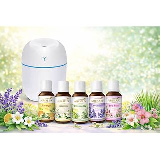 Kit Mini Umidificador Difusor Aromatizador Ambiente Egg com Essências | 1 Umidificador + 5 Essências